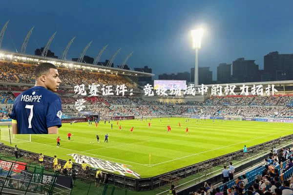 观赛证件：竞技场域中的权力拓扑学